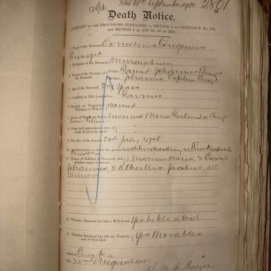 BURGER Cornelius Gregorius, 1905, MOOC 6-9-531, 2801