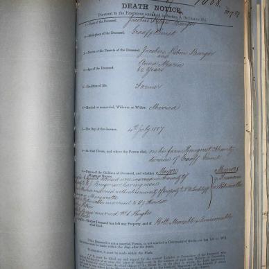 BURGER Jacobus Petrus, 1887, MOOC 6-9-246, 1088