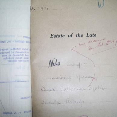 Astrup N   Msce 3971-1919