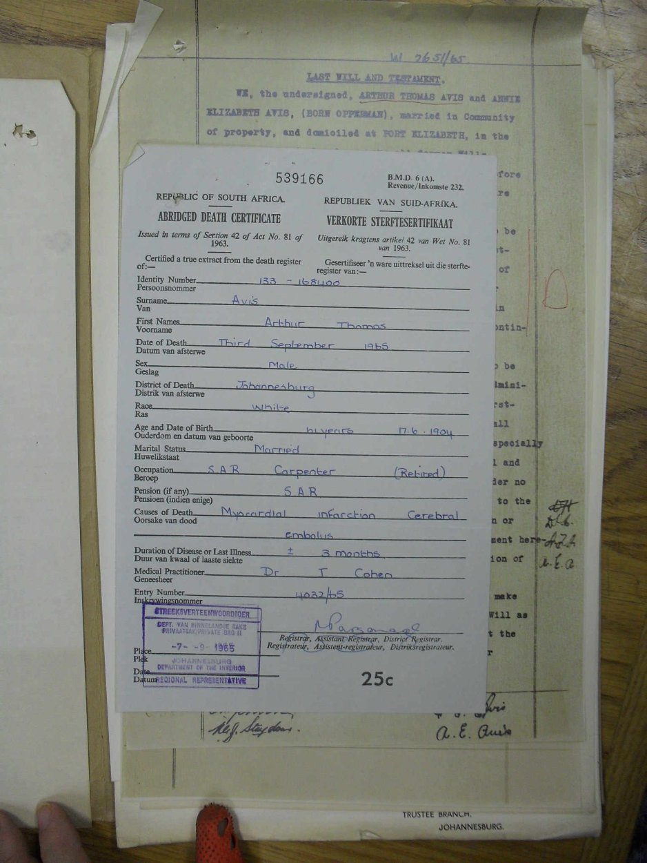 SDC14136 SDC14136