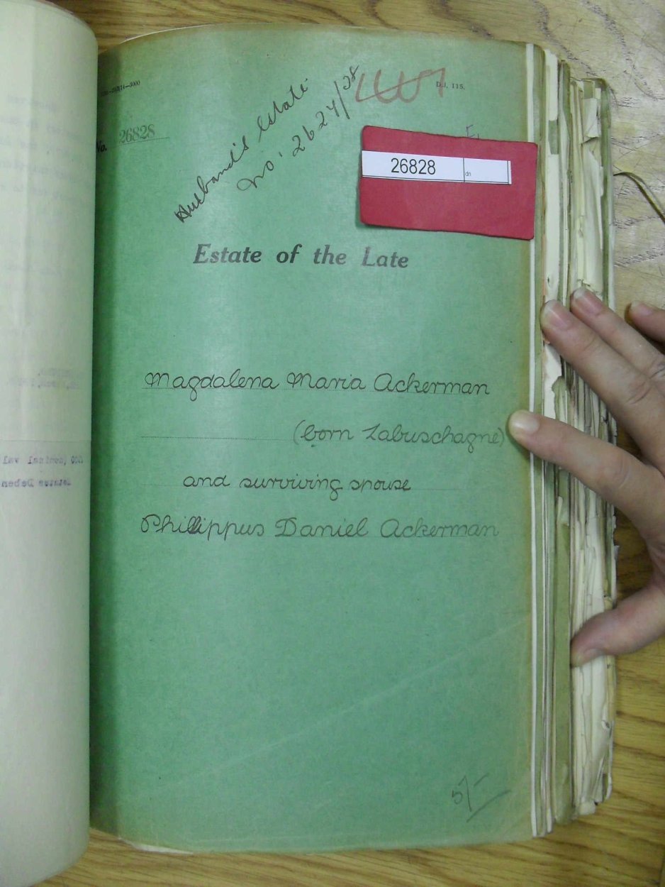 SDC19708 SDC19708