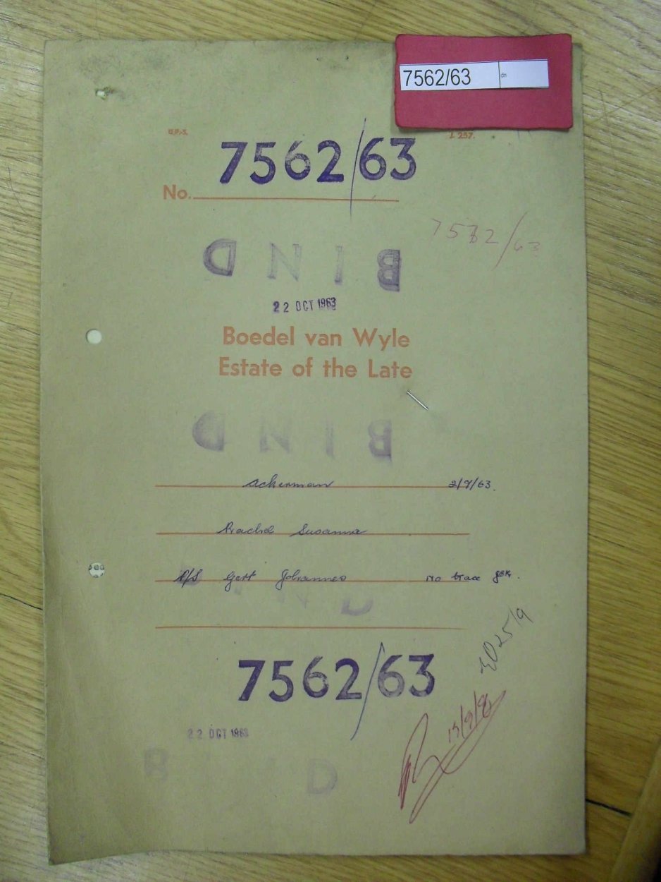 SDC19513 SDC19513