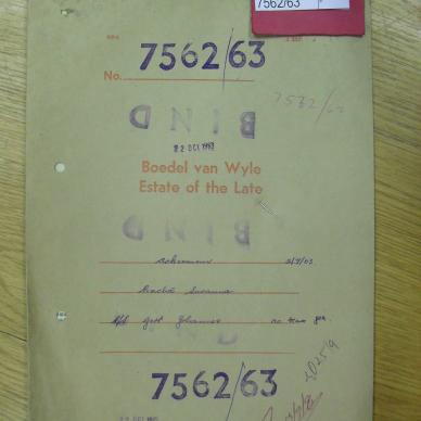 SDC19513