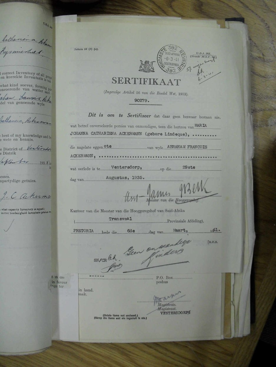 SDC10393 SDC10393