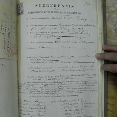 SDC10390