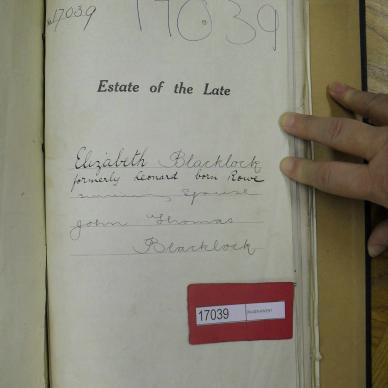 SDC11685