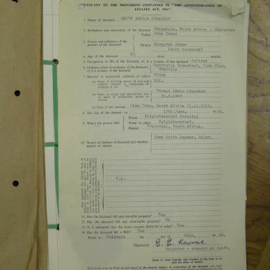 SDC10394