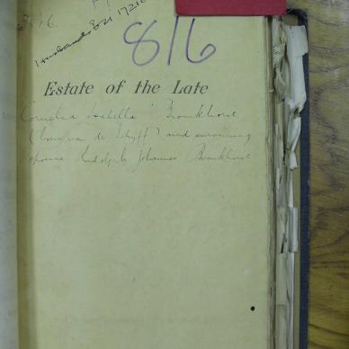 SDC10669