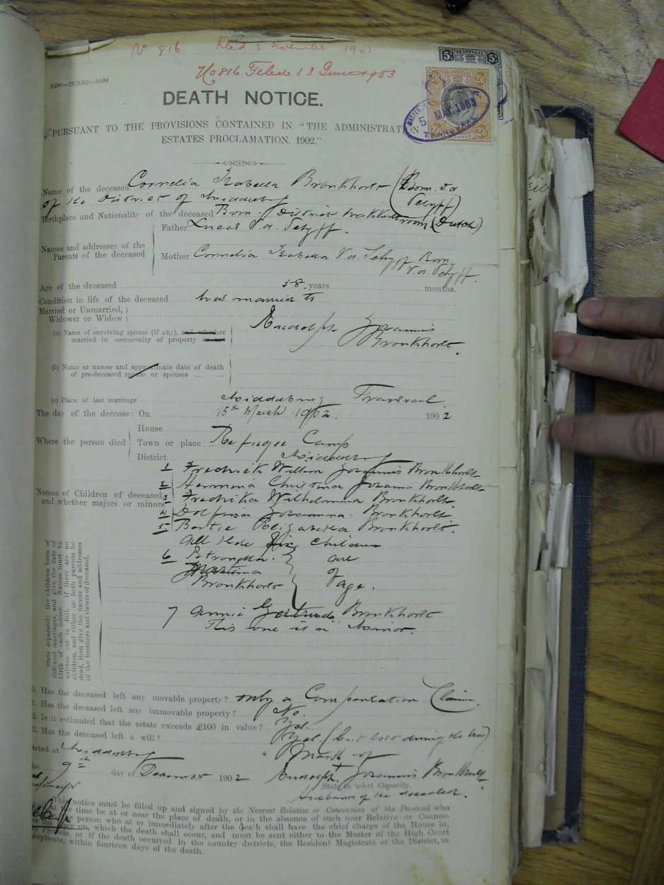 SDC10670
