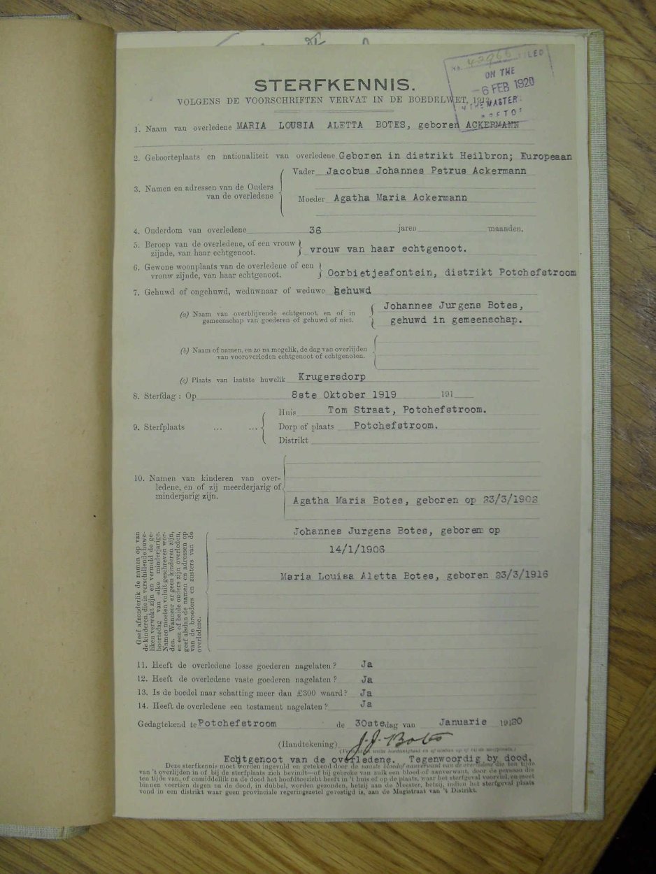 SDC10104 SDC10104