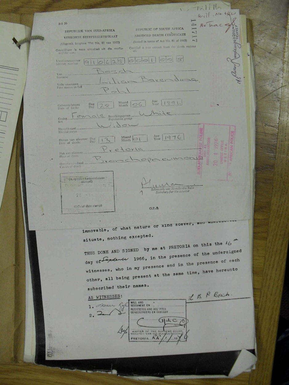 SDC10681 SDC10681