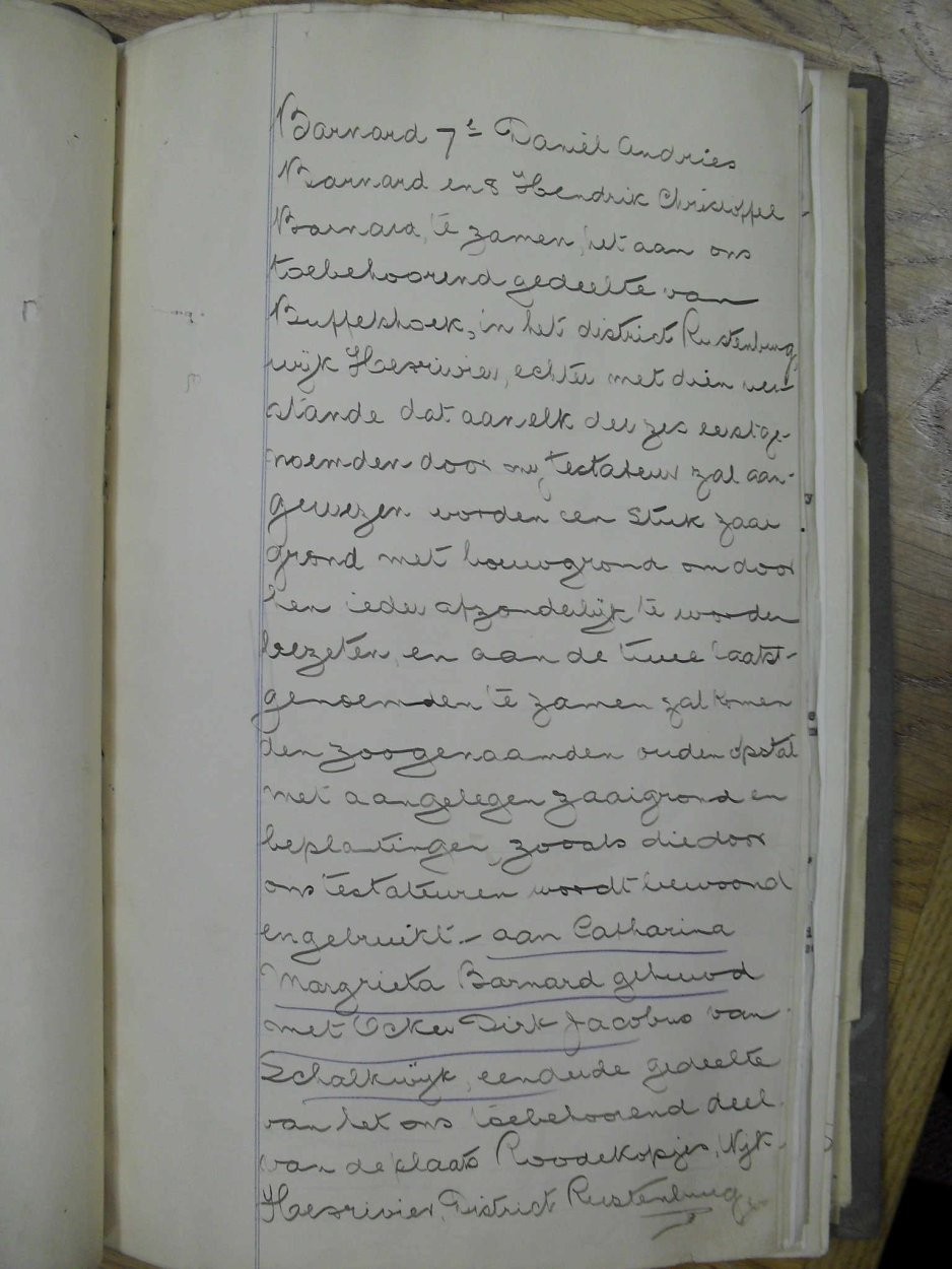 SDC10282 SDC10282