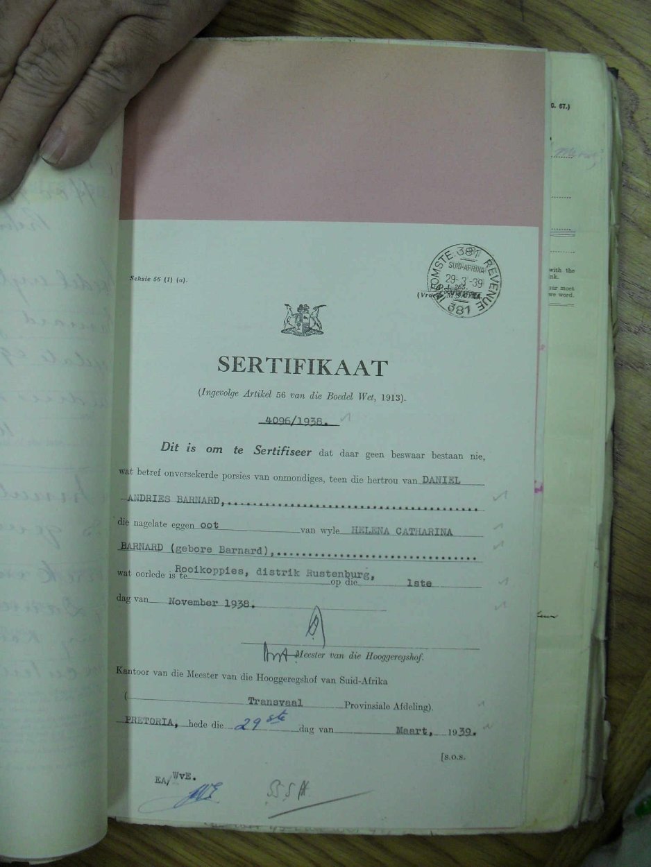 SDC17491 SDC17491