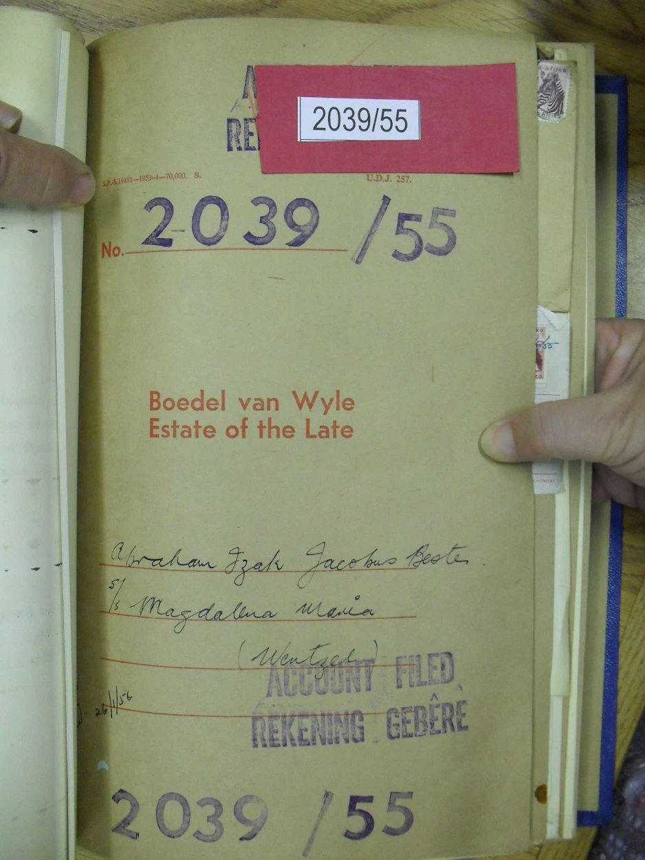 SDC16873 SDC16873