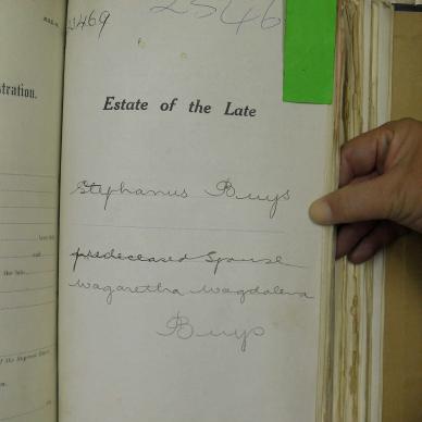 BUYS Stephanus - oorlede 12 Des 1913