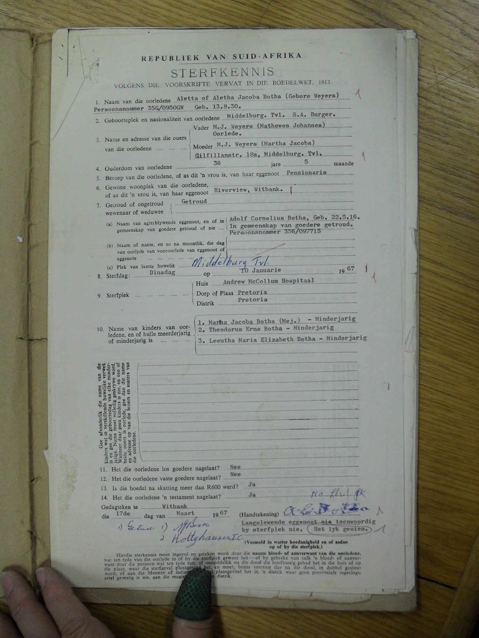 SDC19503 SDC19503
