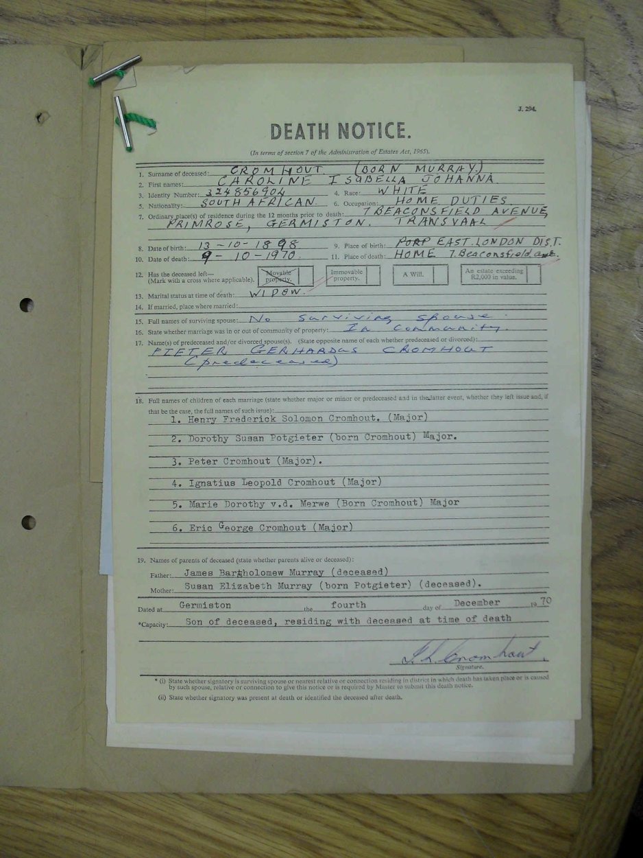 SDC10505 SDC10505