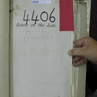 SDC10372
