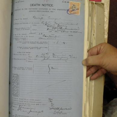 SDC10373