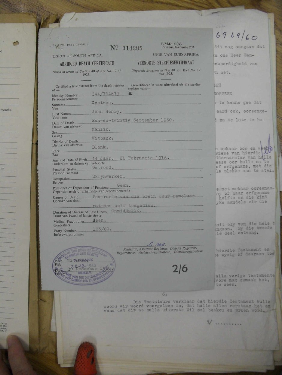 SDC13502 SDC13502