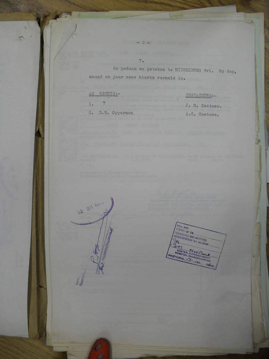 SDC13504 SDC13504