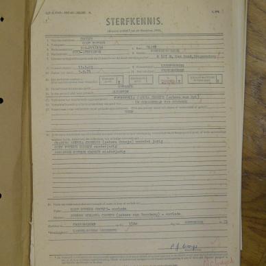 SDC10356