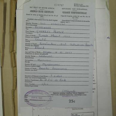 SDC15363