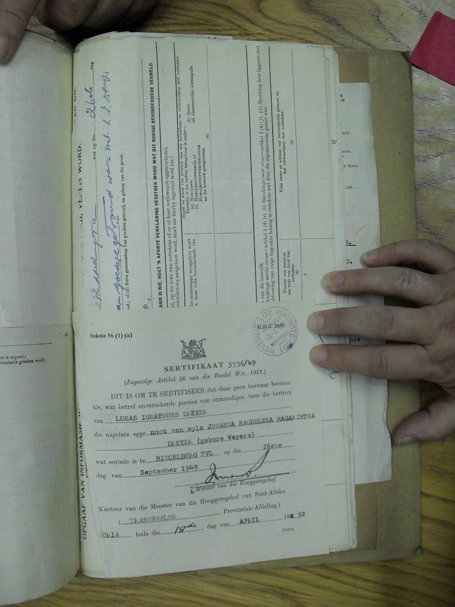SDC19823 SDC19823