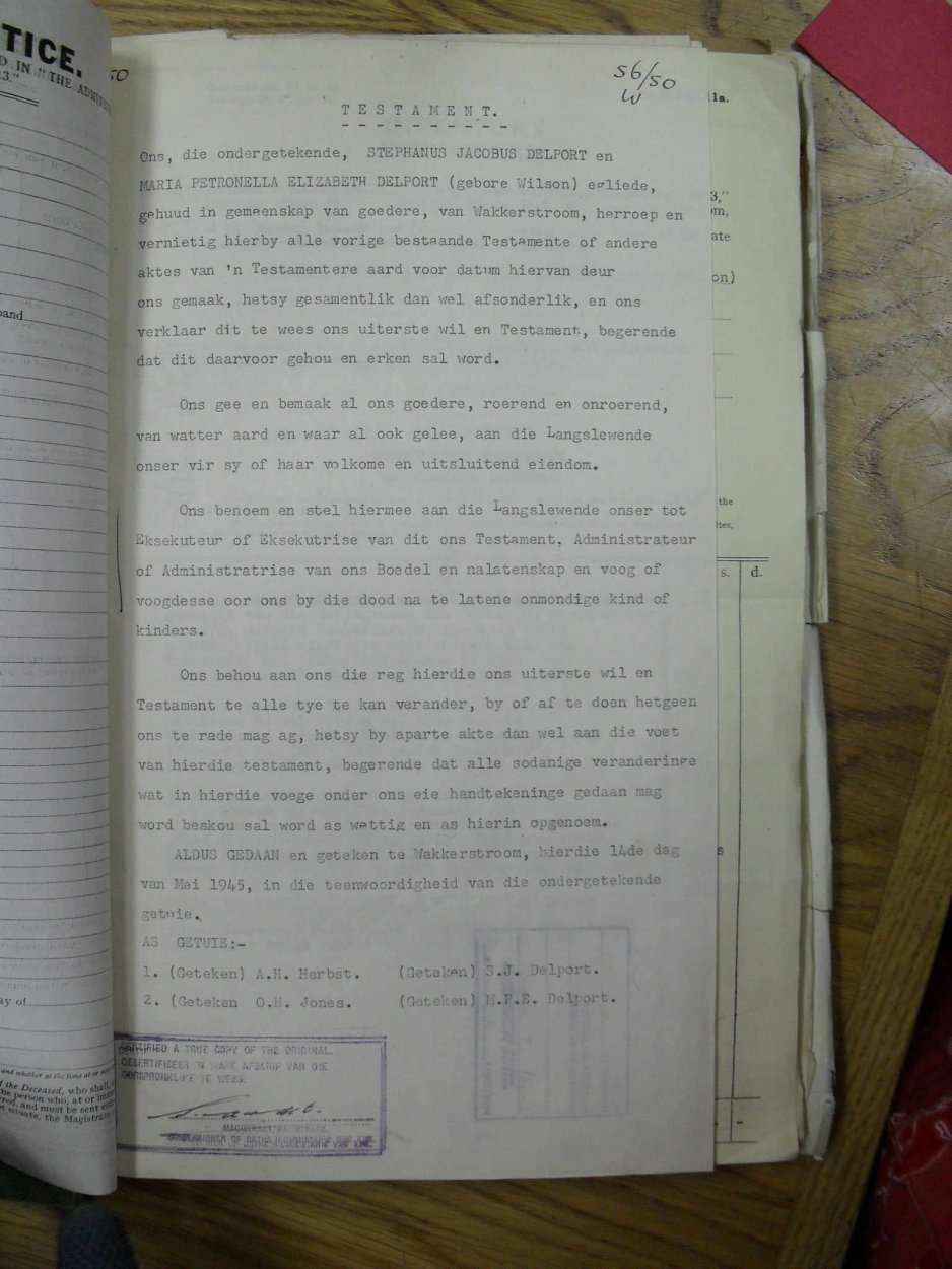 SDC10184 SDC10184