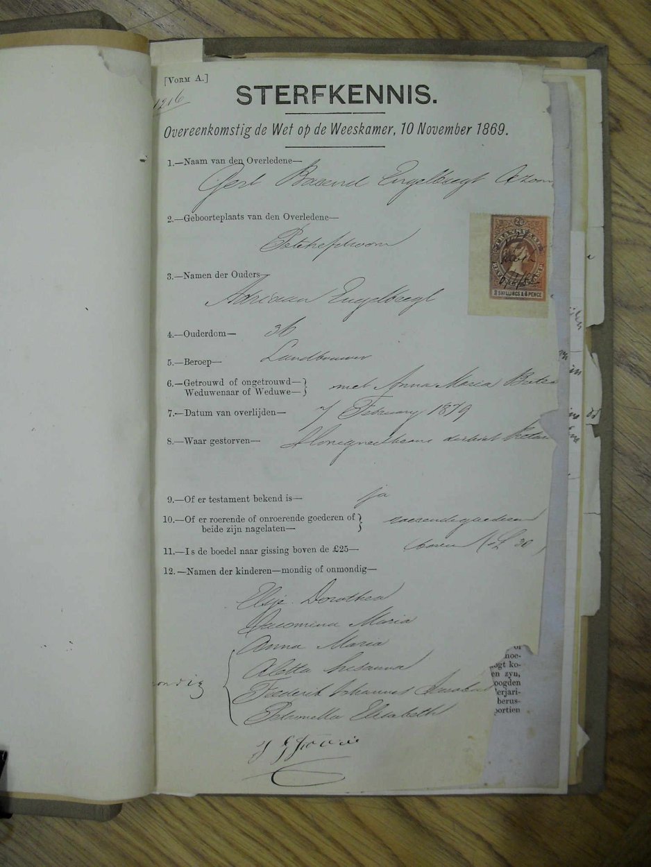 SDC10291 SDC10291