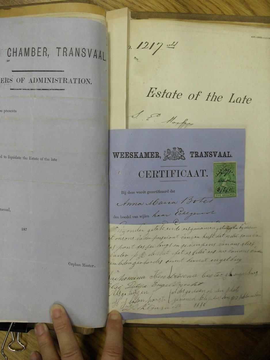 SDC10294 SDC10294