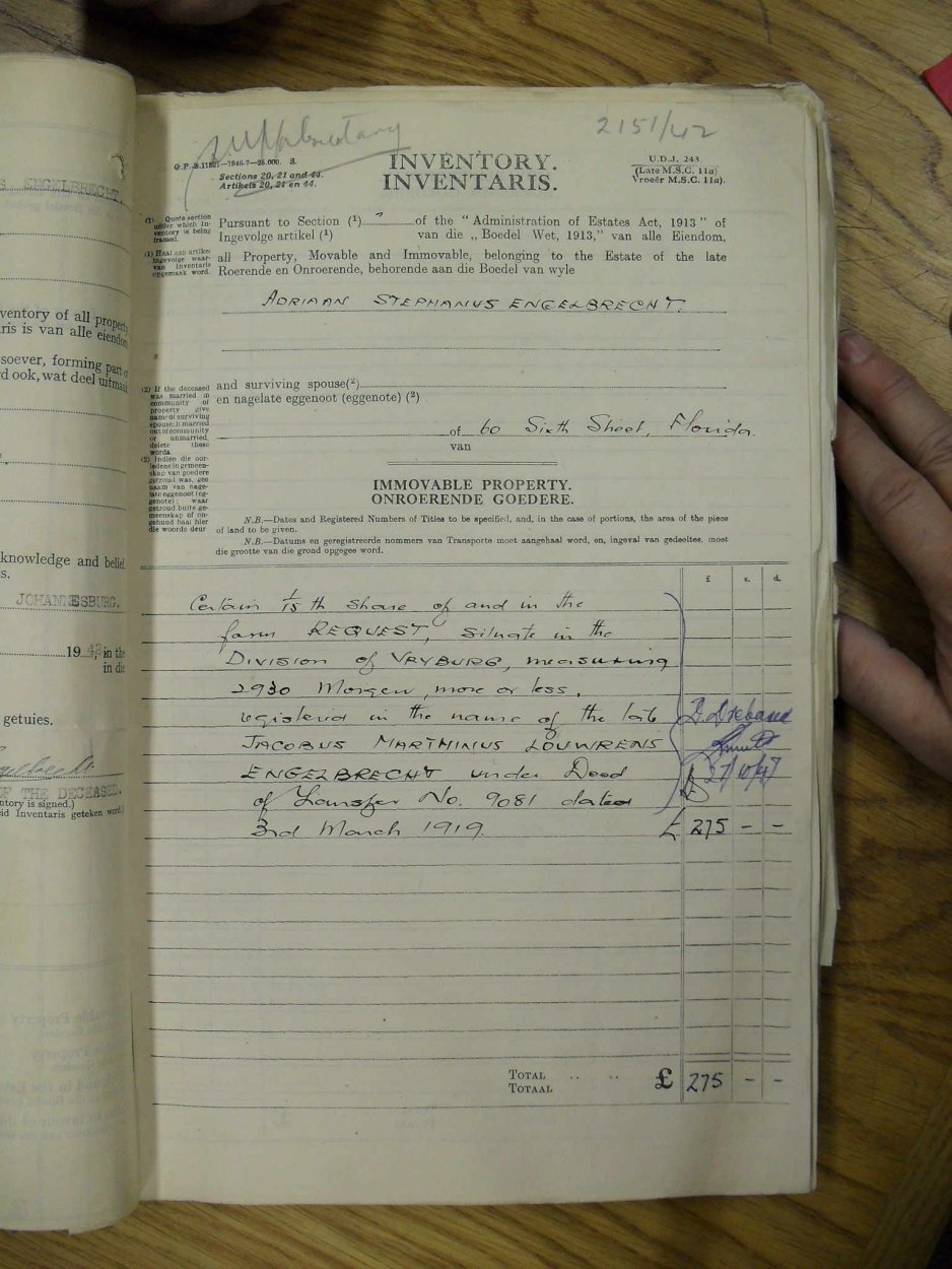 SDC11728 SDC11728