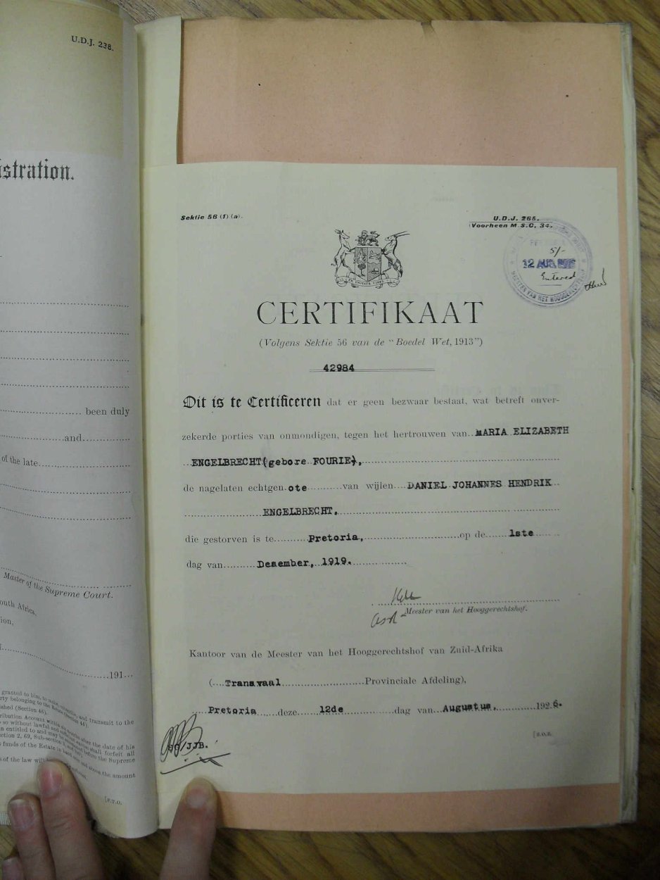 SDC10032 SDC10032