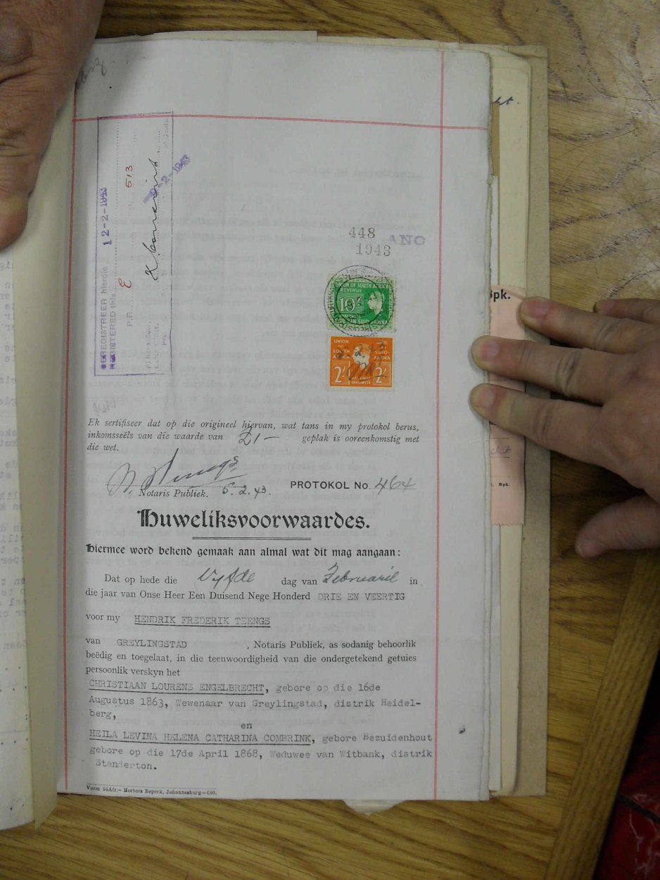 SDC10241 SDC10241