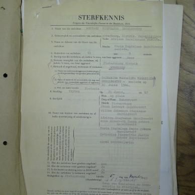 SDC11947