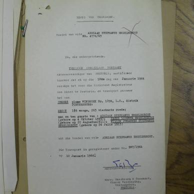 SDC11951