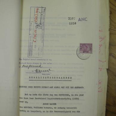SDC10532