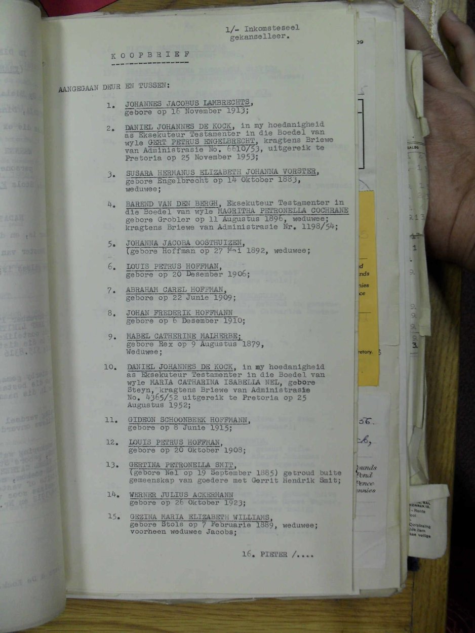 SDC10388 SDC10388