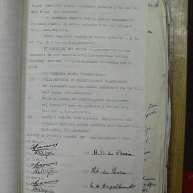 SDC10294