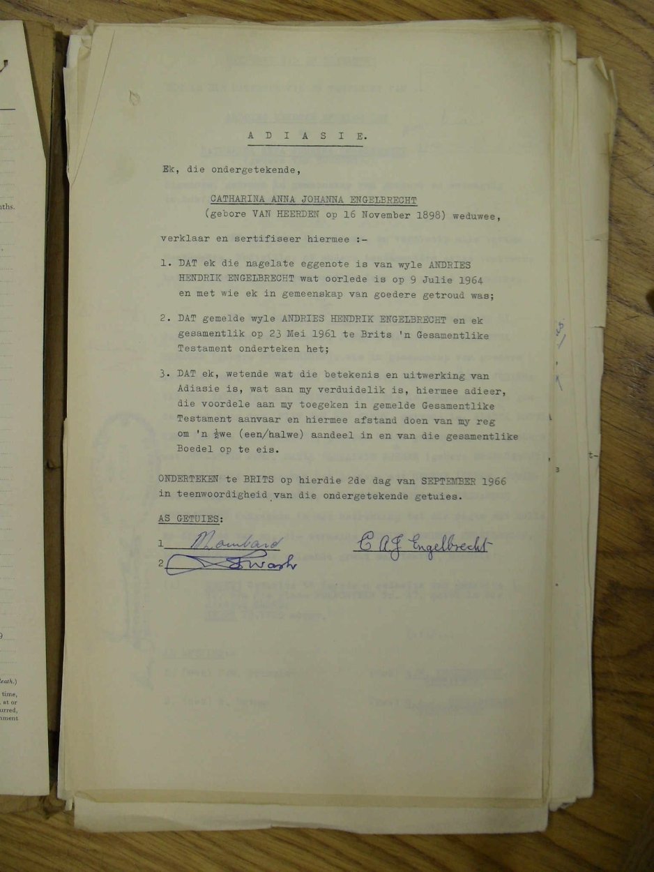 SDC11832 SDC11832