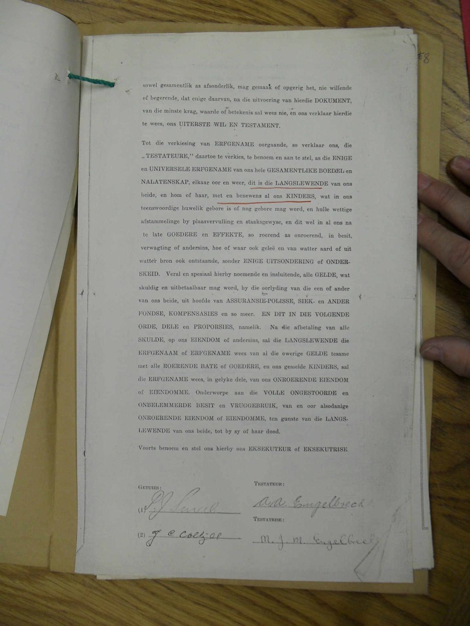 SDC11882 SDC11882