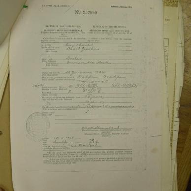 SDC10420