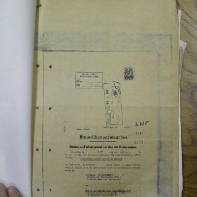 SDC11954