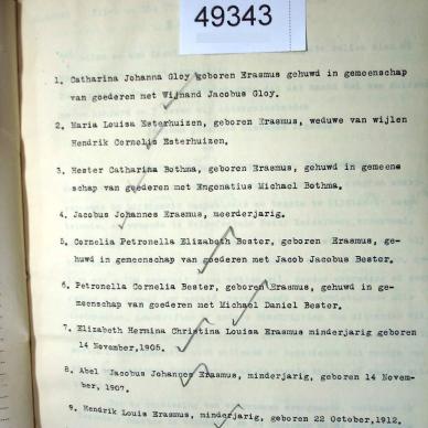 49343 ERASMUS Jacobus Johannes Stevanes e