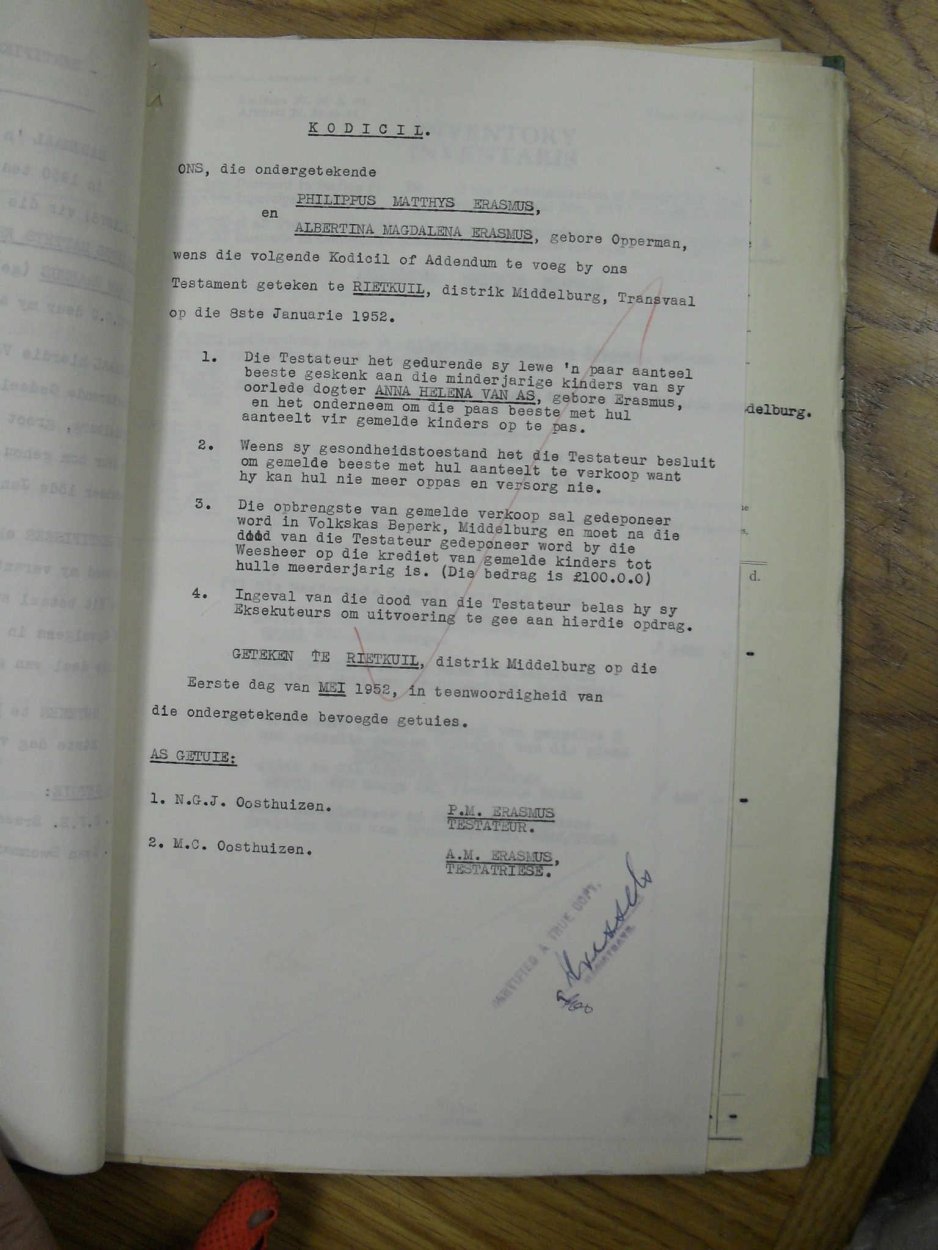 SDC11554 SDC11554