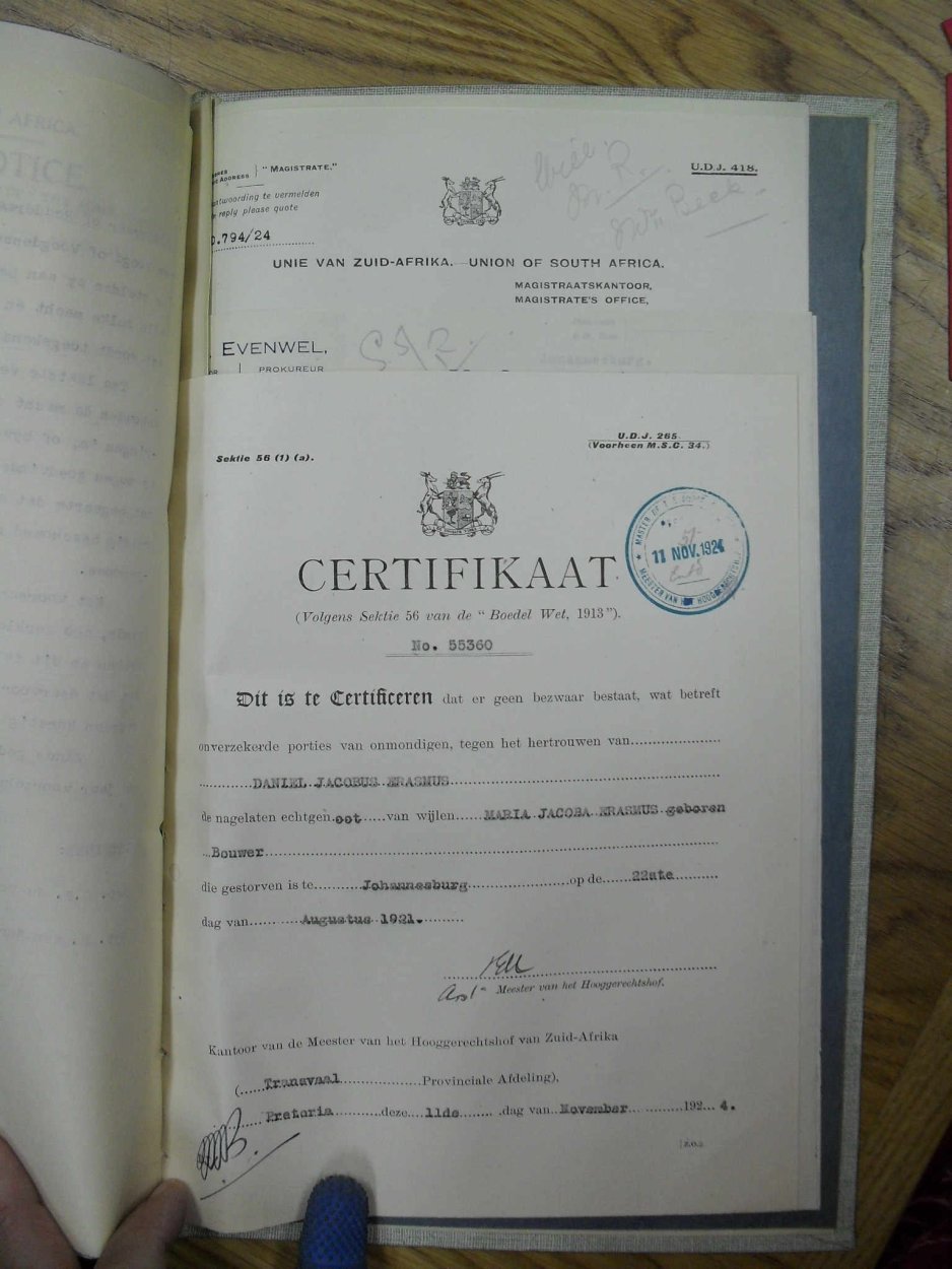 SDC10142 SDC10142