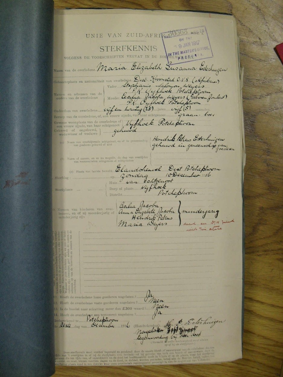 SDC19660 SDC19660