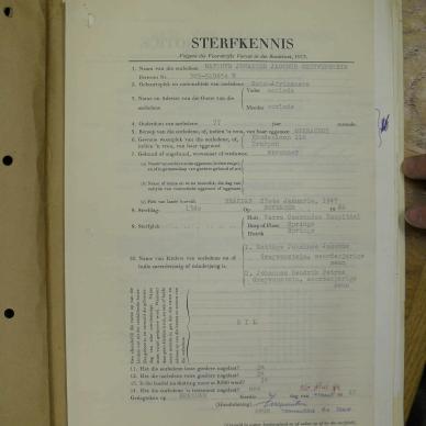 GREYVENSTEIN Matthys Johannes Jacobus - oorlede 13 Nov 1966