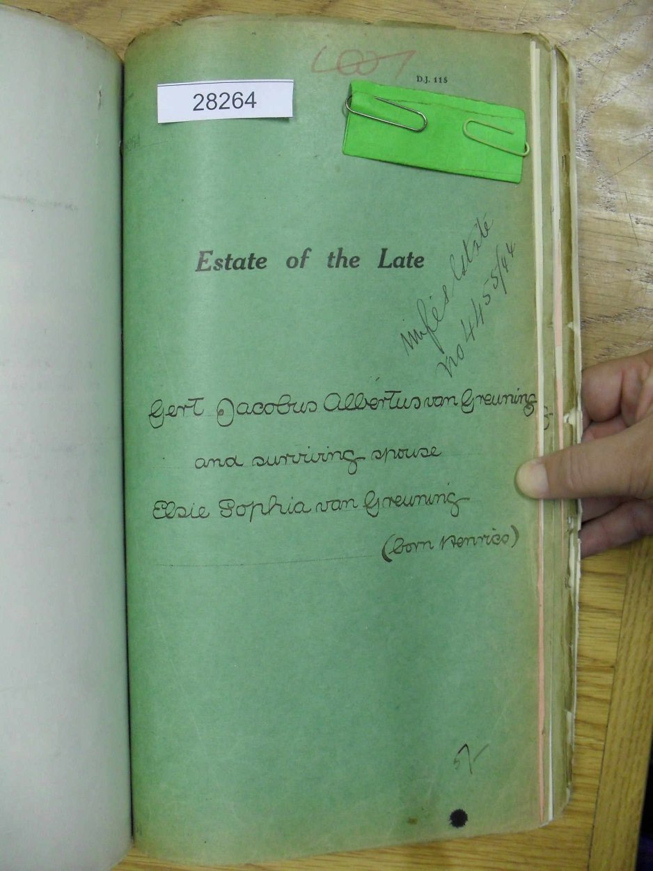 SDC10296 SDC10296