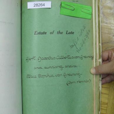 SDC10296